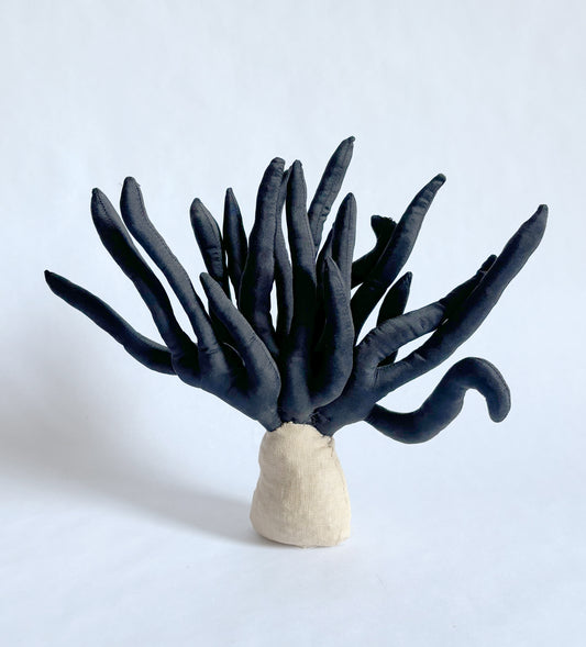 Black Coral